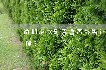 逾期還款5天會否影響征信？應該怎樣處理？